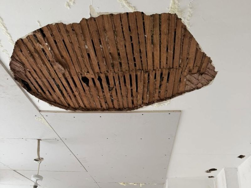A kitchen ceiling with a large hole where the old plaster fell, showing the wooden laths, next to a new sheet of plasterboard