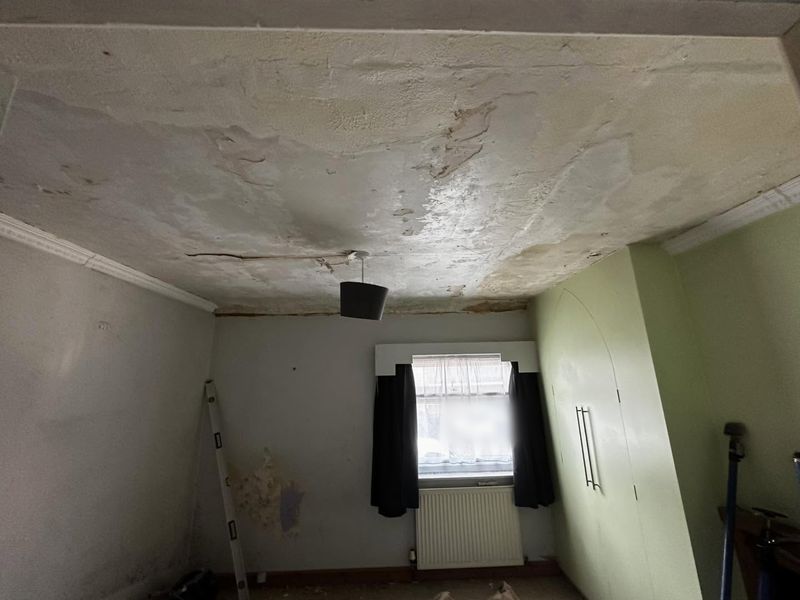A bedroom ceiling cracked and stained, with old coving and a lamp shade